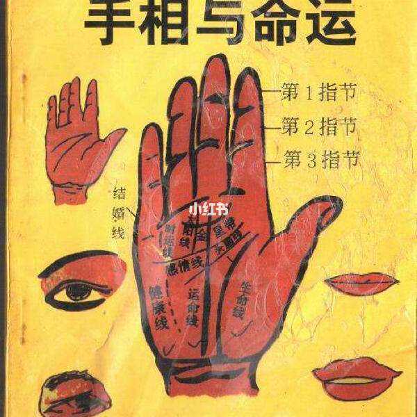 最新运程免费(免费运势网算命入口)