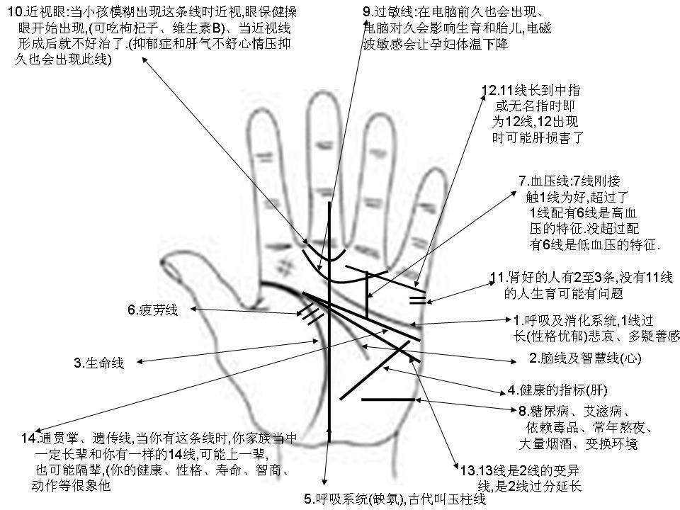 精准运程(精准运势测算)