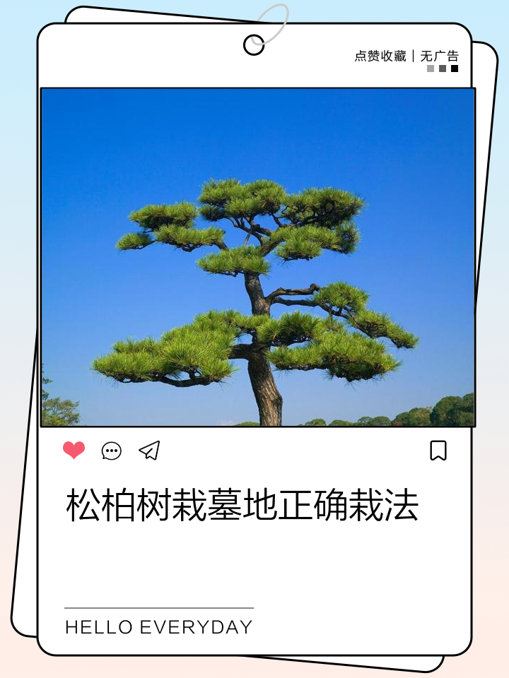 怎么选墓地(怎么选墓地朝向最旺) 怎么选墓地(怎么选墓地朝向最旺)