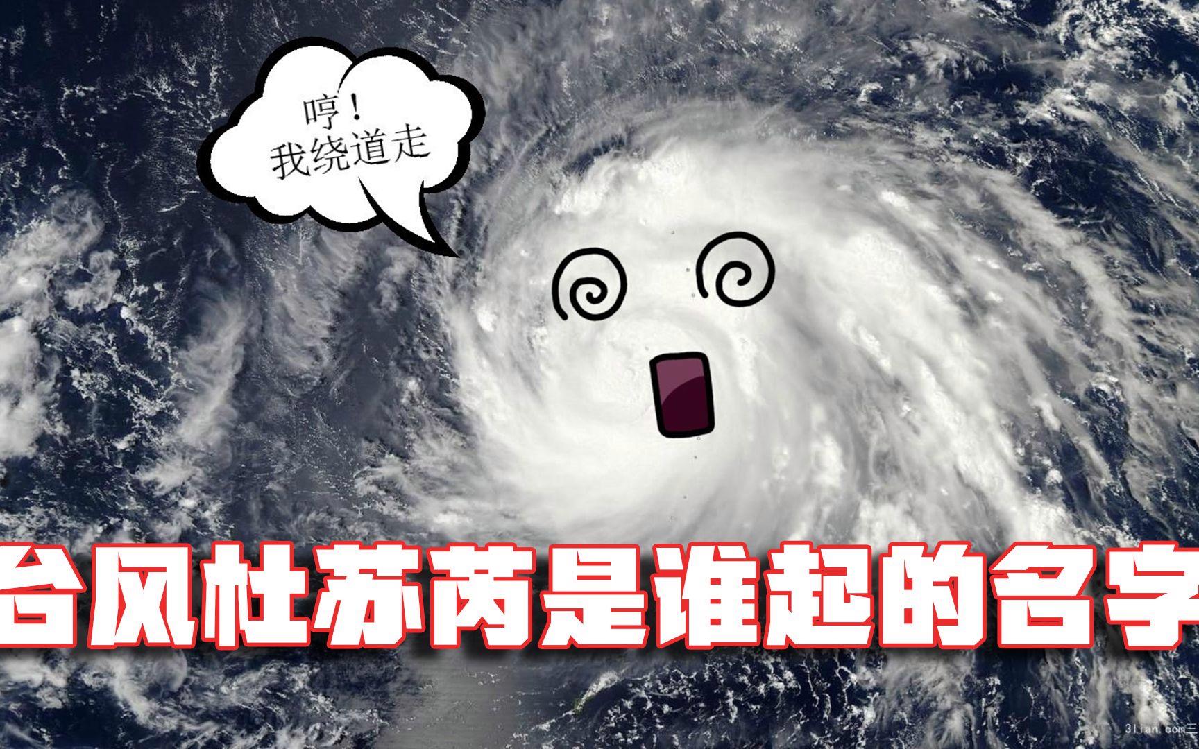 我给台风起名字(给台风起名有什么规矩)