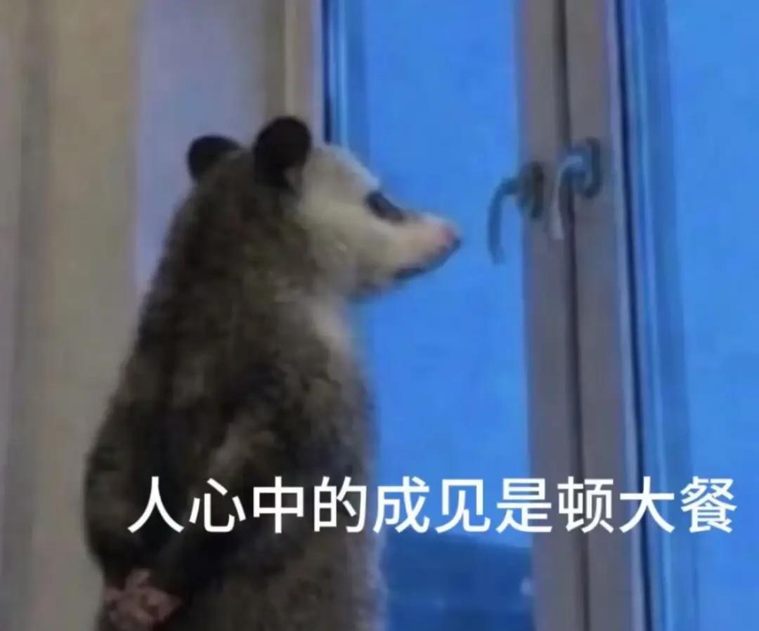 我给台风起名字(给台风起名有什么规矩)