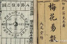 卜易居算命准不准(卜易居算命免费服务) 卜易居算命准不准(卜易居算命免费服务)
