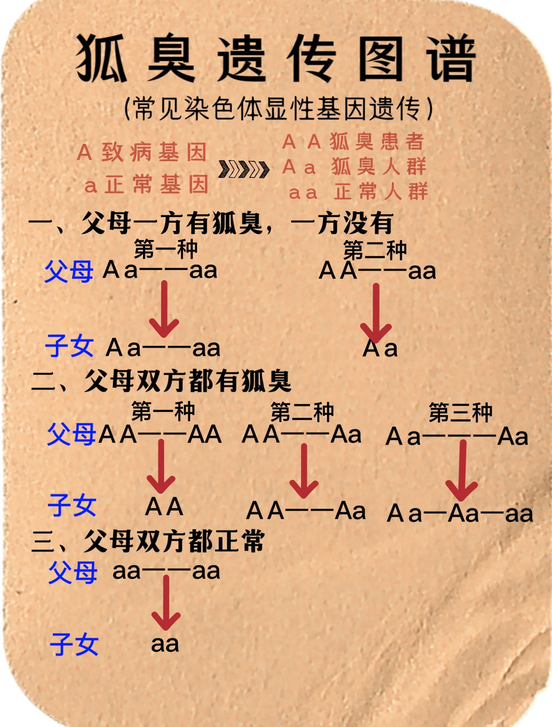 一般遗传的狐臭几岁会发现出来(遗传性狐臭一般几岁开始表现出来)