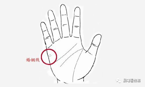 免费查自己姻缘什么时候结婚的(免费查自己姻缘什么时候结婚的软件)