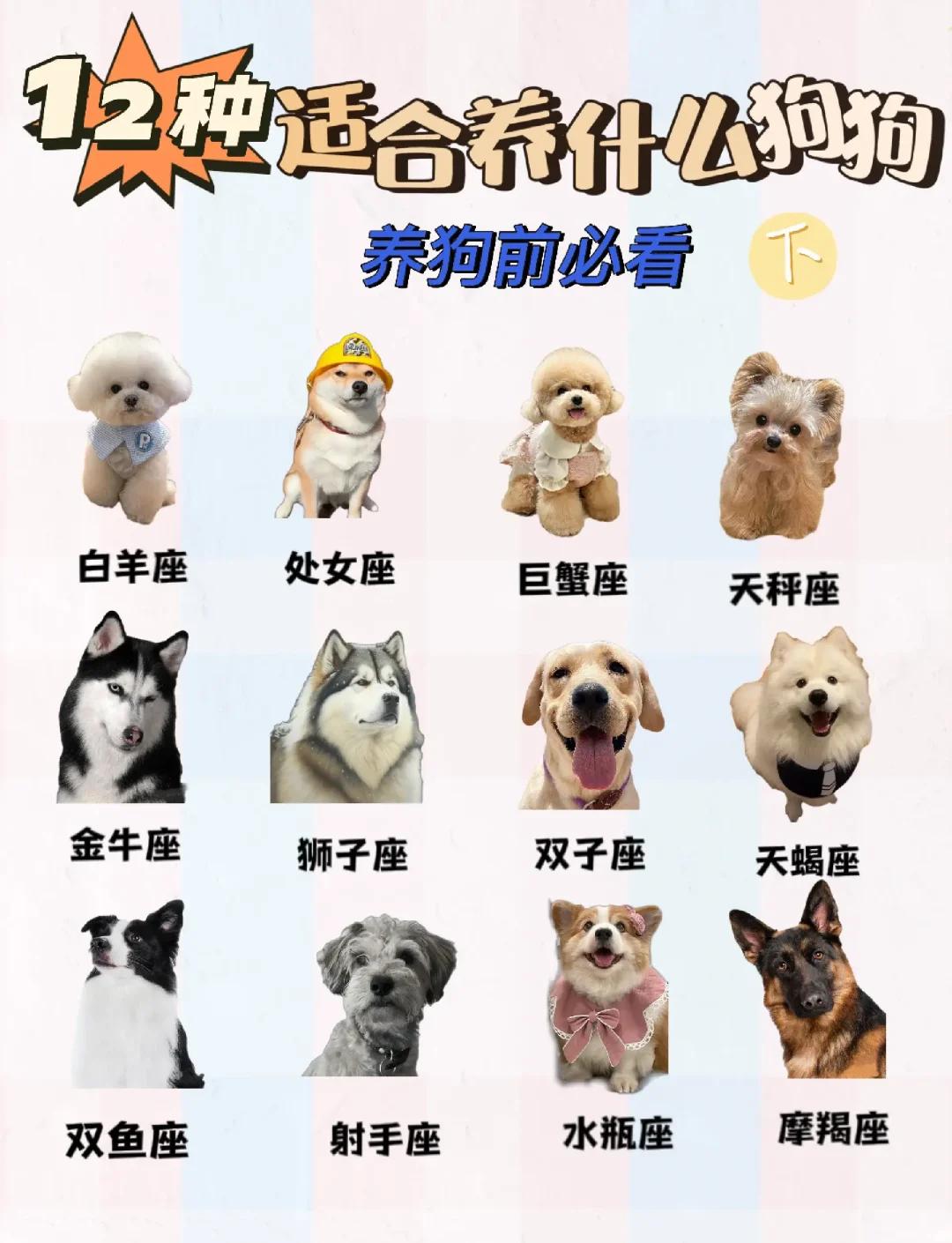 十二星座的由来和含义(十二星座的来源和神话故事)