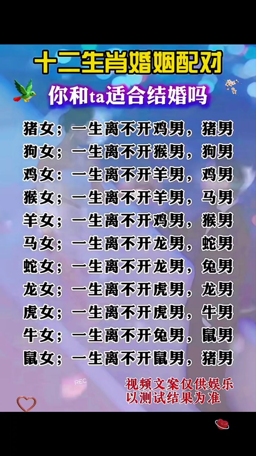 生肖配对(生肖配对真的准吗可信吗)