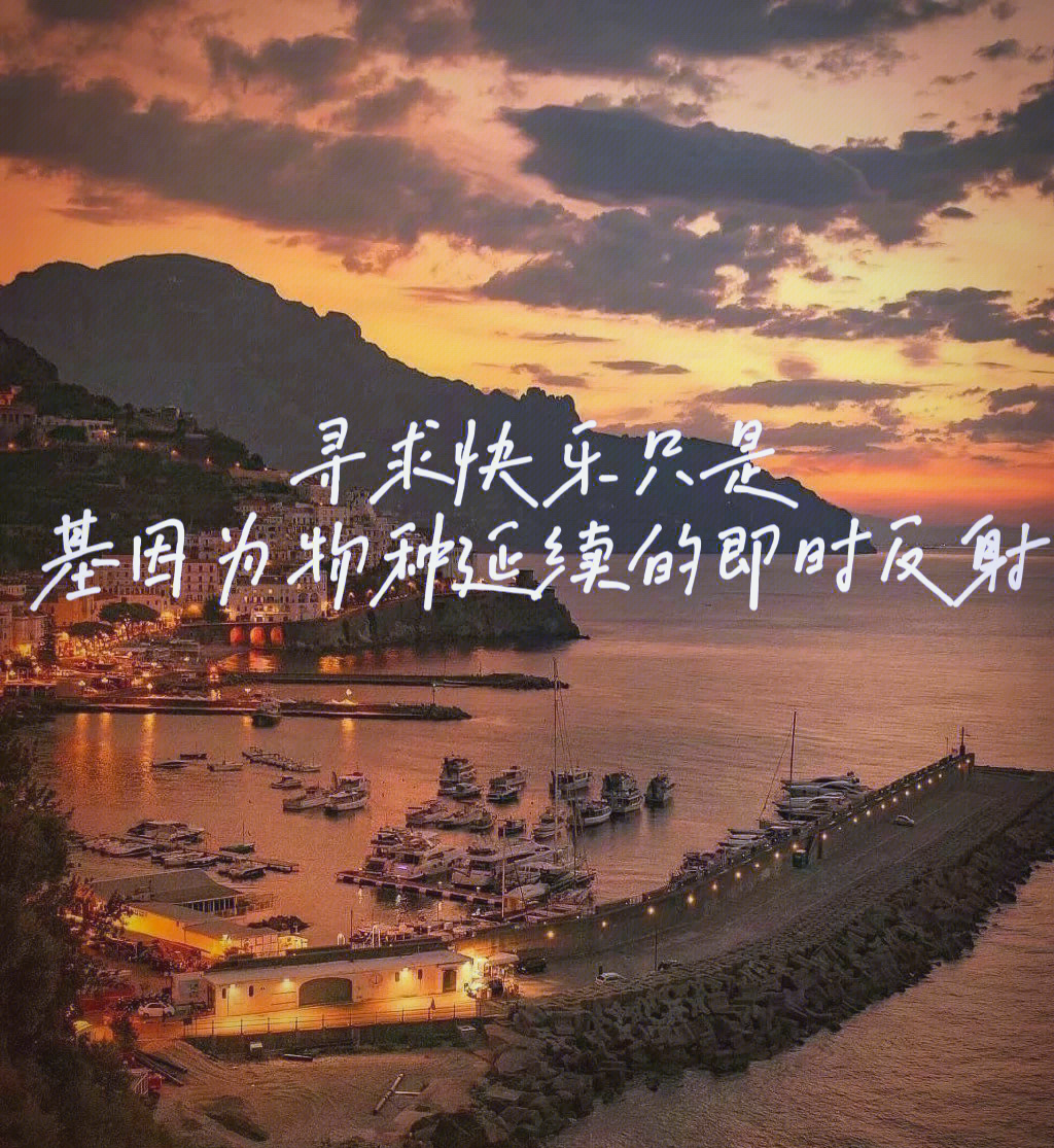 即时运程(免费下载今日运程)