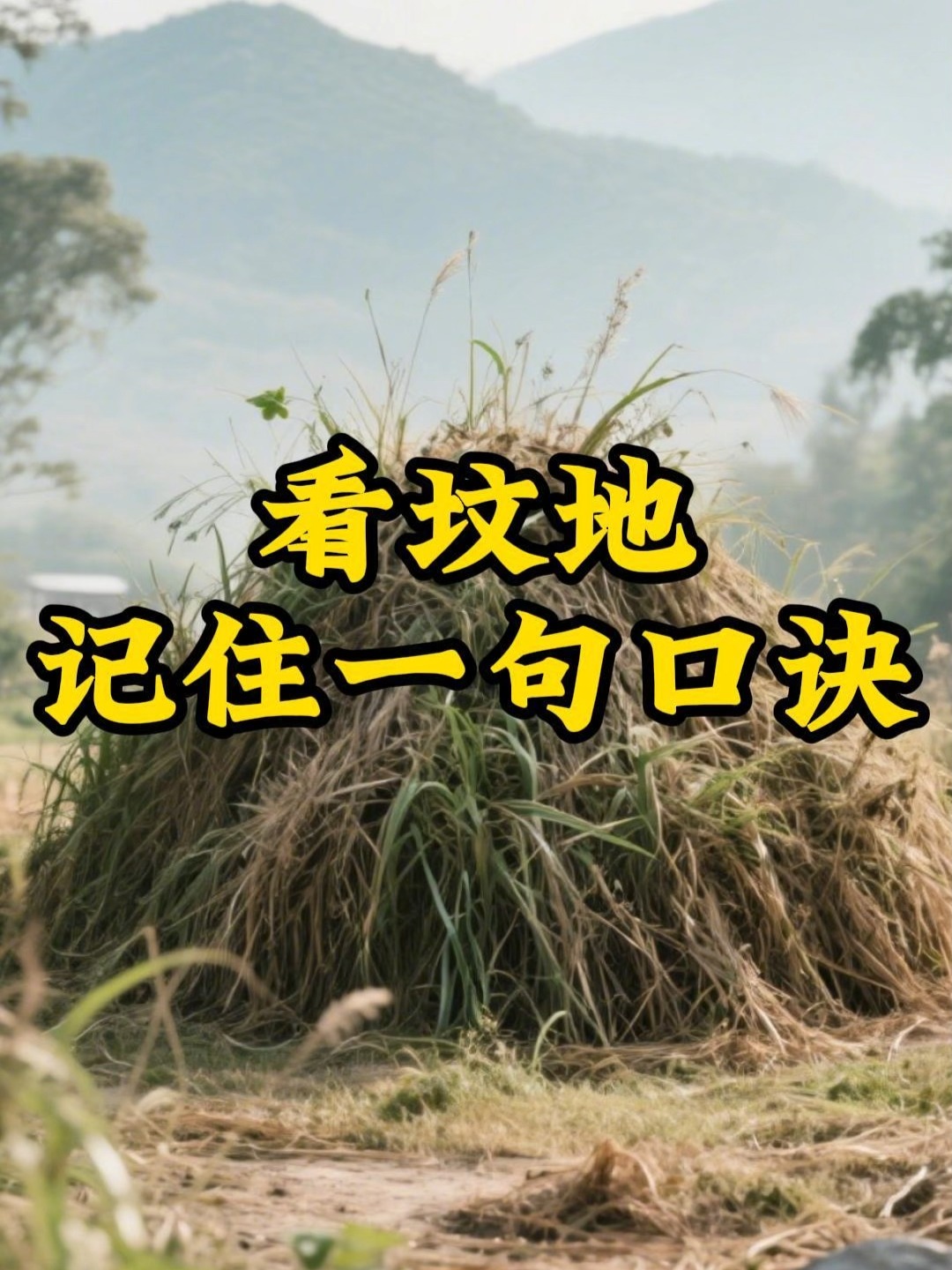 看坟地记住十二句口诀是什么(看坟地记住十二句口诀是什么意思) 看坟地记住十二句口诀是什么(看坟地记住十二句口诀是什么意思)