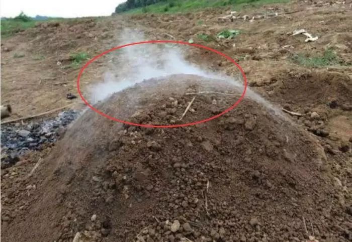 看墓地的风水小诀窍有哪些(看墓地的风水小诀窍有哪些呢) 看墓地的风水小诀窍有哪些(看墓地的风水小诀窍有哪些呢)