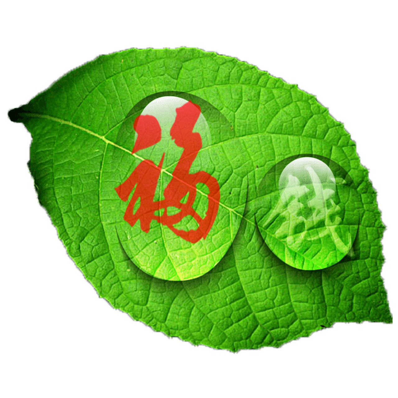 中华百家姓钱姓专场(龙姓在百家姓排名第几) 中华百家姓钱姓专场(龙姓在百家姓排名第几)
