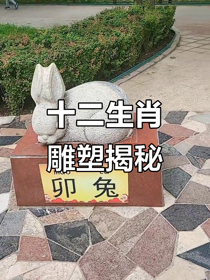 哪里生肖(哪里生肖属于颈部生肖)
