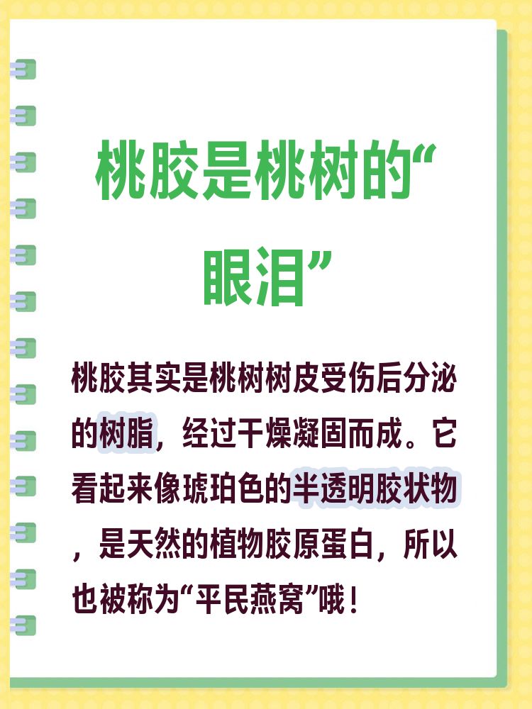 一亩桃树能产多少桃胶合适呢(一亩桃树能产多少桃胶合适呢图片大全)