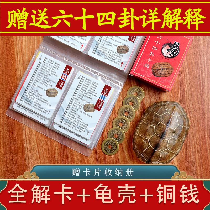 占卜六爻龟壳要多大合适(六爻龟壳免费测试完整流程)