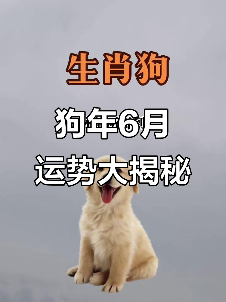 生肖狗2022年下半年运势(生肖狗2022年下半年运势及运程)