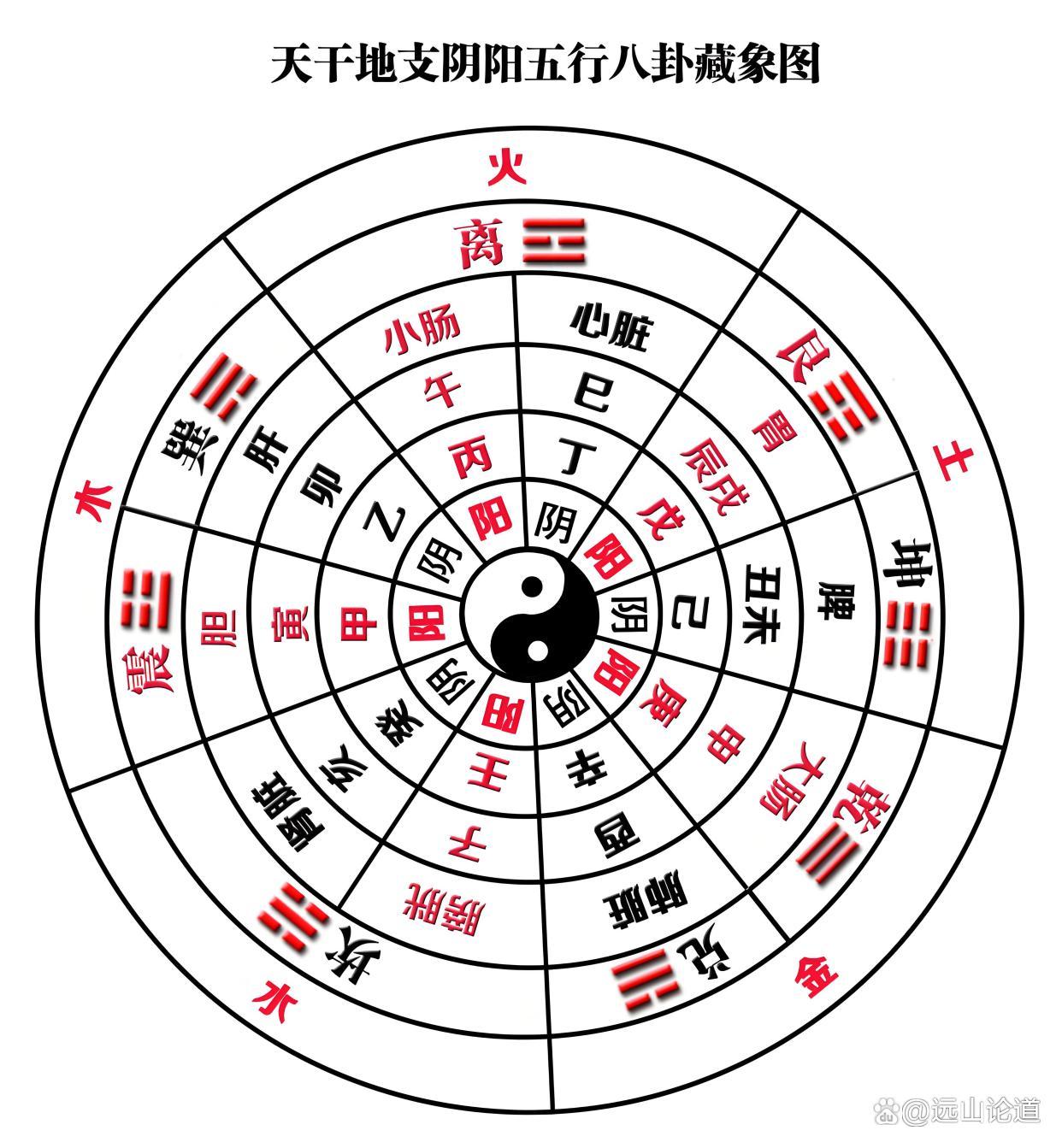 夫妻相合是看天干还是地支的简单介绍