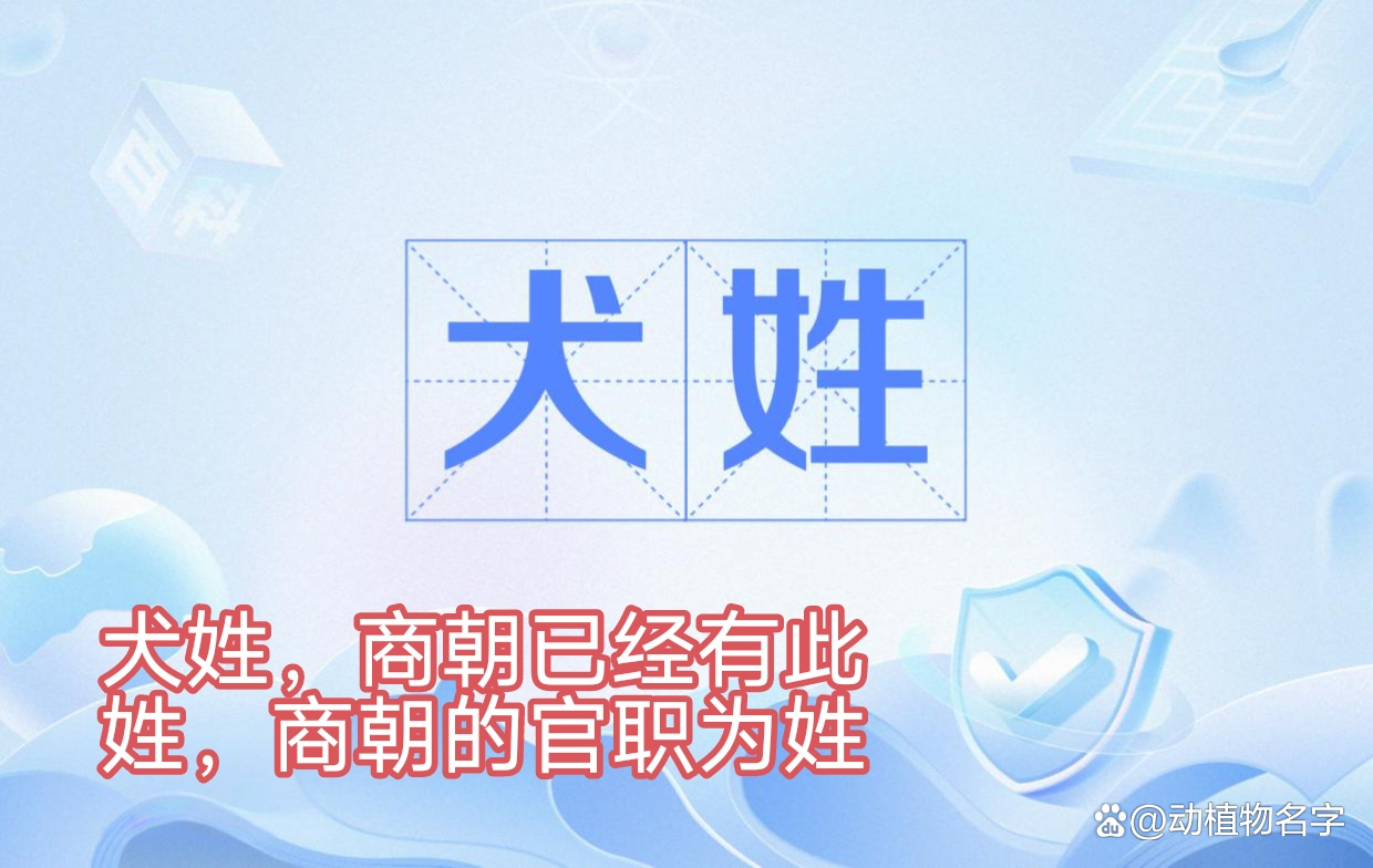 姓打一动物(姓字是什么动物)