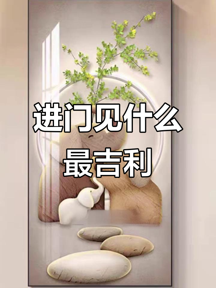 一进门看见什么最旺财(入户玄关图片进门效果大全) 一进门看见什么最旺财(入户玄关图片进门效果大全)