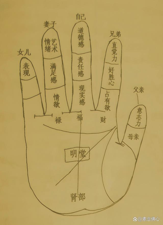 麻衣神相算命准吗(麻衣神相准确率有多高)