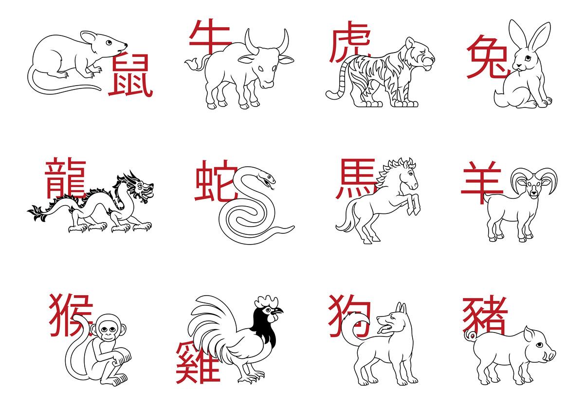 12生肖对照表(12生肖对照表查询)