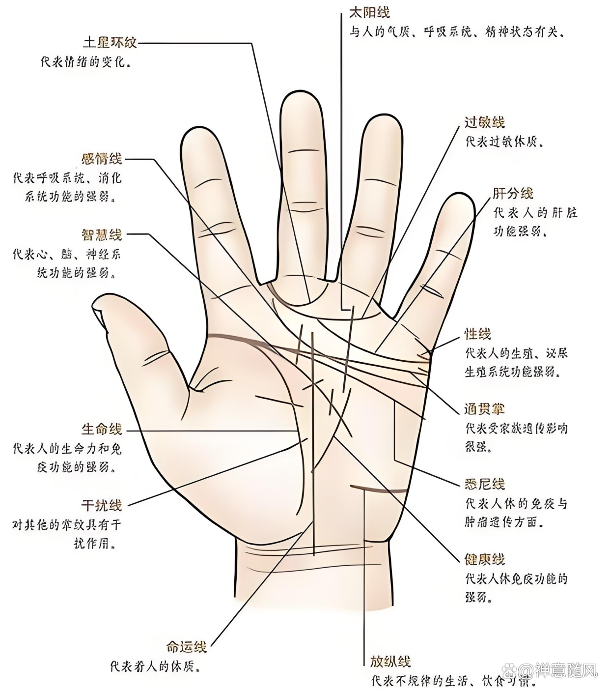 教你看八字(手把手教你看八字)