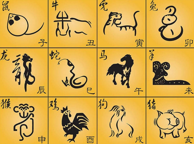 健康运运势(健康运势免费分析)