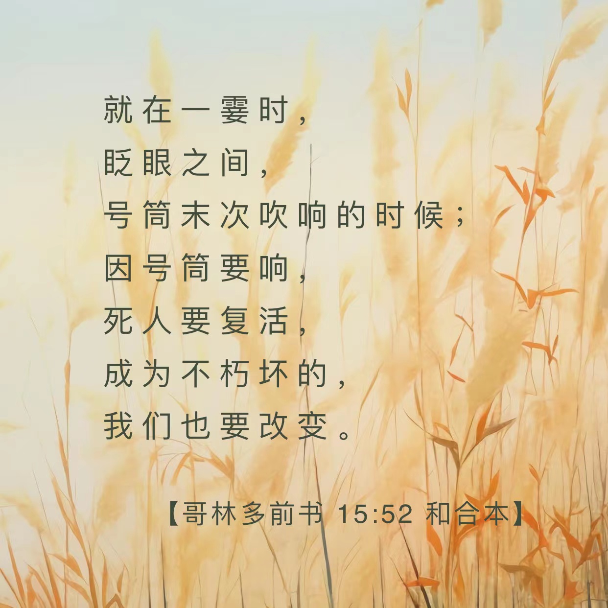 圣经关于算命的经文(圣经中算计他人的人有哪些)