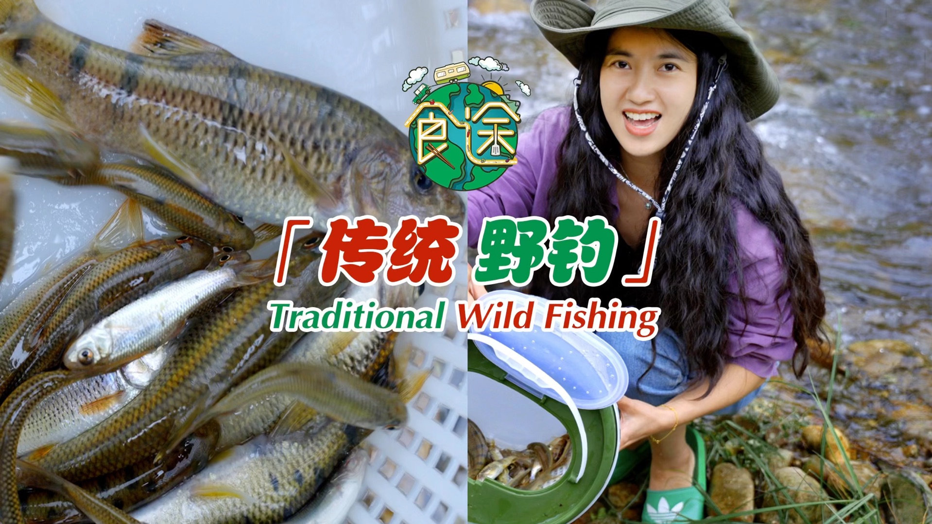 苦花鱼饲养(苦花鱼可以缸养吗)