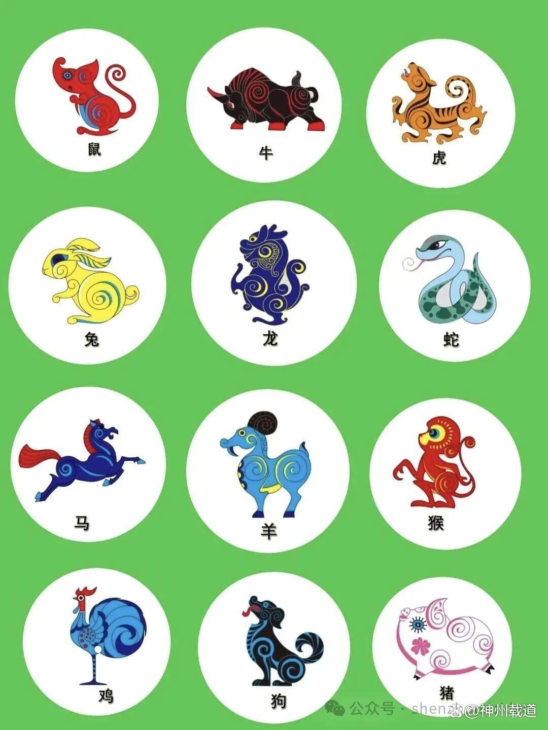 12生肖排名表(12生肖排名表图片)
