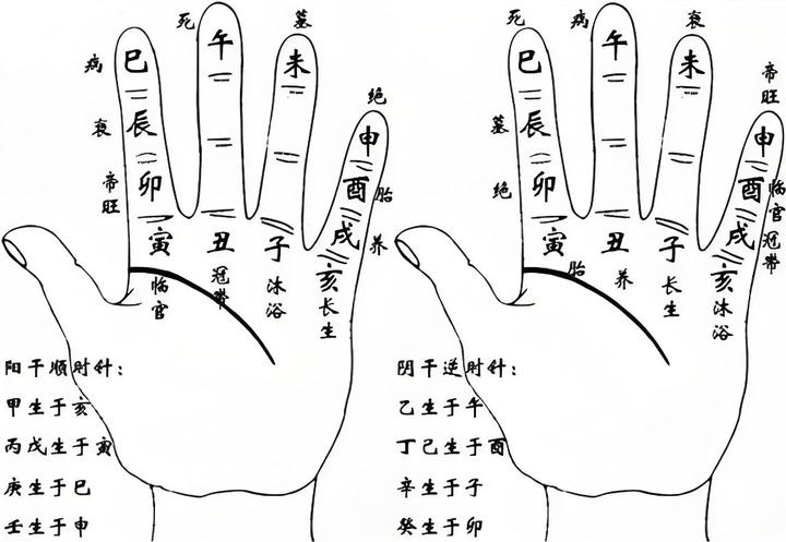 易经八字排盘算命免费版(易经八字排盘算命免费版下载)