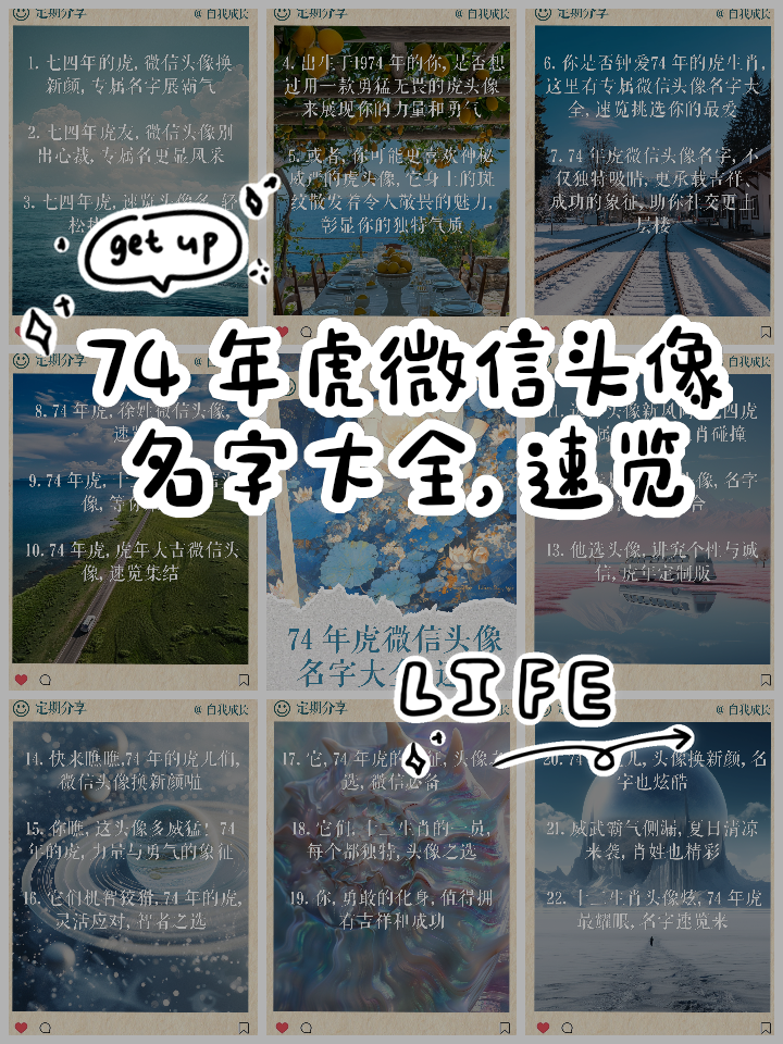 属虎起名字大全男孩(属虎的人取哪个名字好男孩)