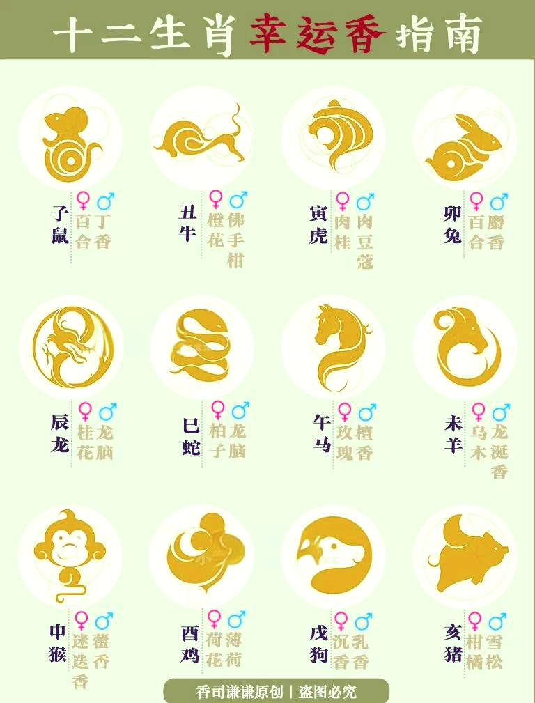 详细生肖流程(详细生肖流程图怎么画)