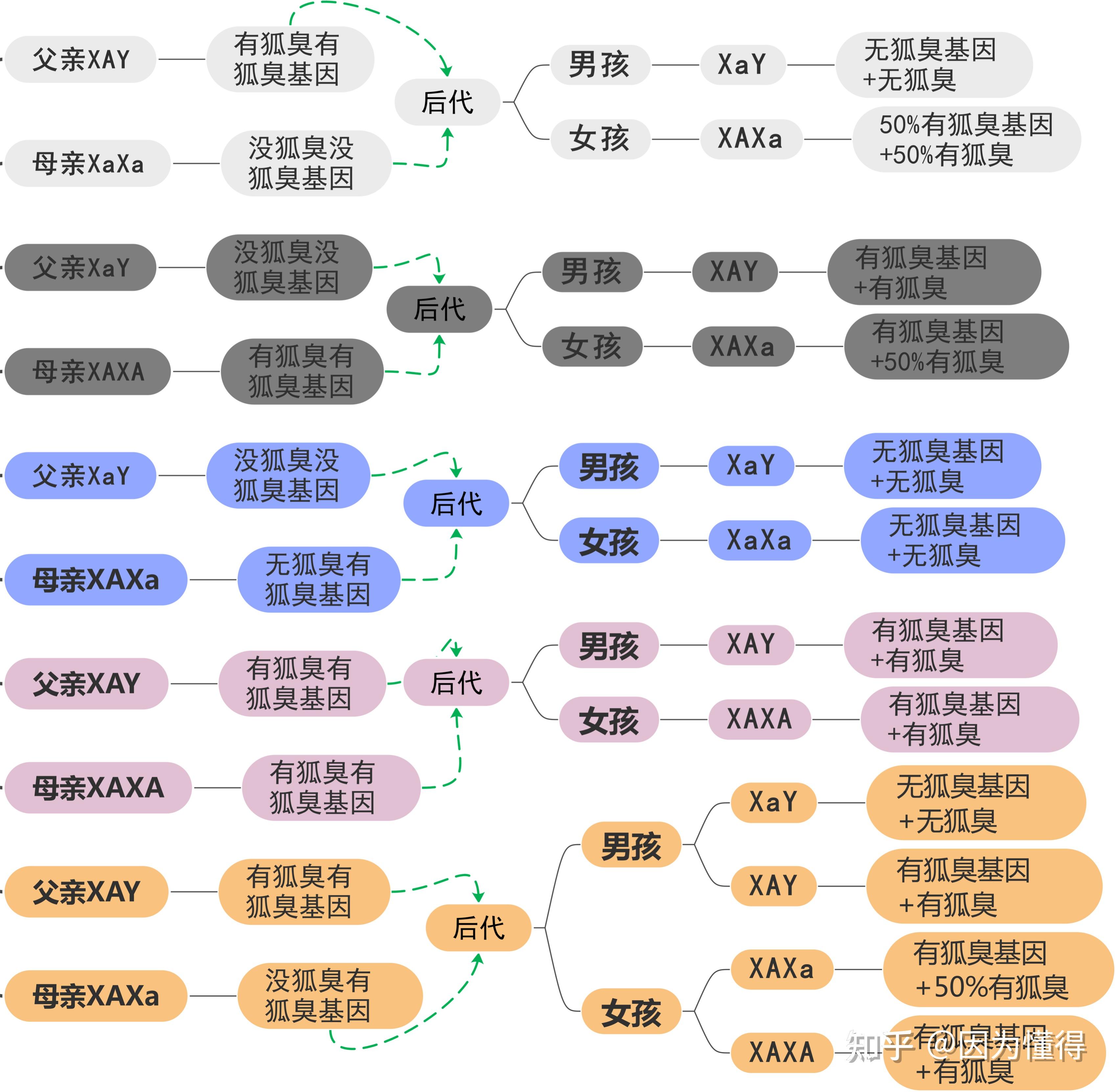 没遗传狐臭的人后代会遗传吗(没遗传狐臭的人后代会遗传吗知乎)