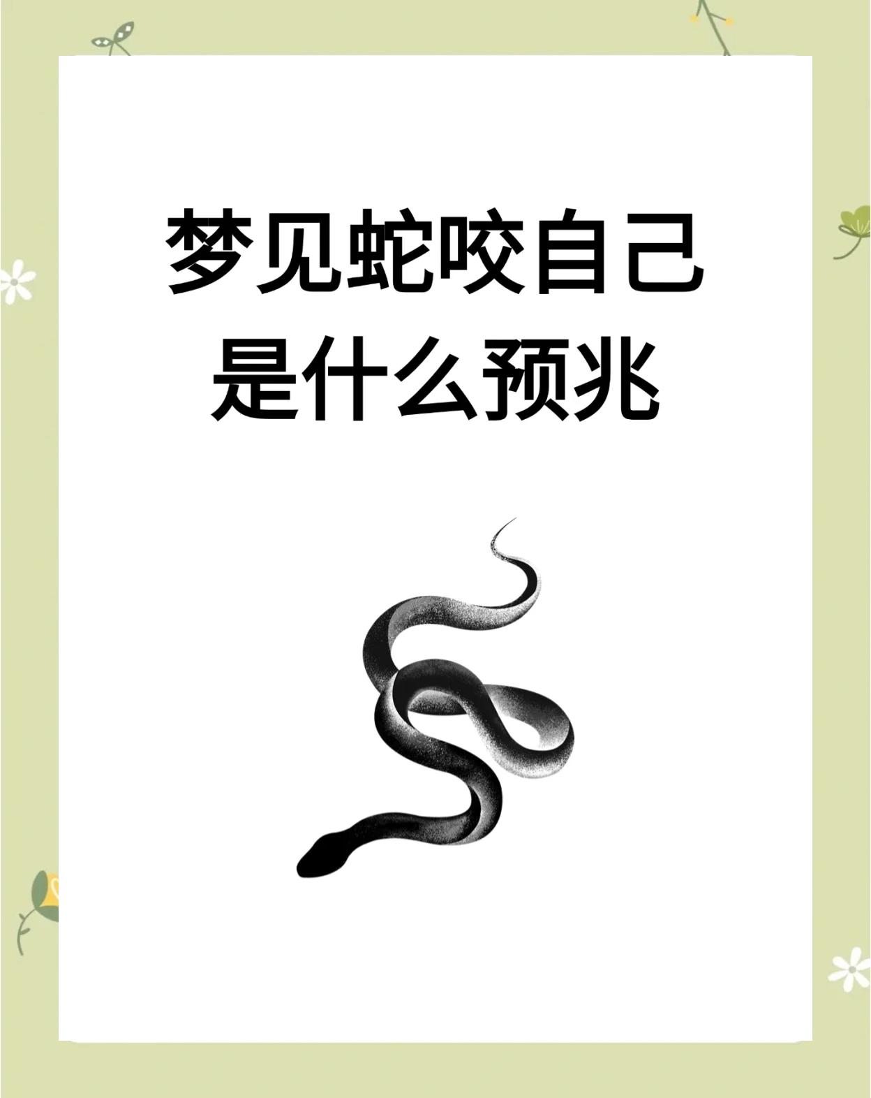 周公解梦蛇是什么预兆(周公解梦梦见蟒蛇是什么预兆)