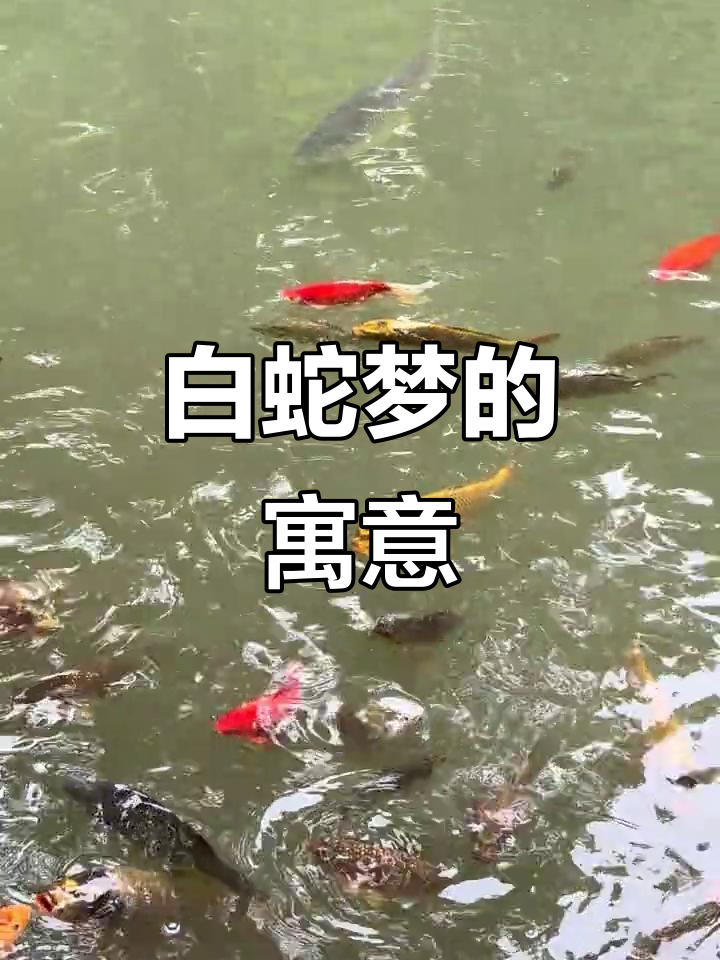 周公解梦蛇是什么预兆(周公解梦梦见蟒蛇是什么预兆) 周公解梦蛇是什么预兆(周公解梦梦见蟒蛇是什么预兆)
