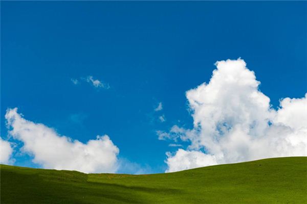 周公解梦大全查询入口梦见掉水坑(周公解梦全解查询梦见掉水里了什么意思) 周公解梦大全查询入口梦见掉水坑(周公解梦全解查询梦见掉水里了什么意思)