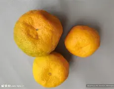 关于三个已灭绝的复姓蛋黄包怎么做的的信息