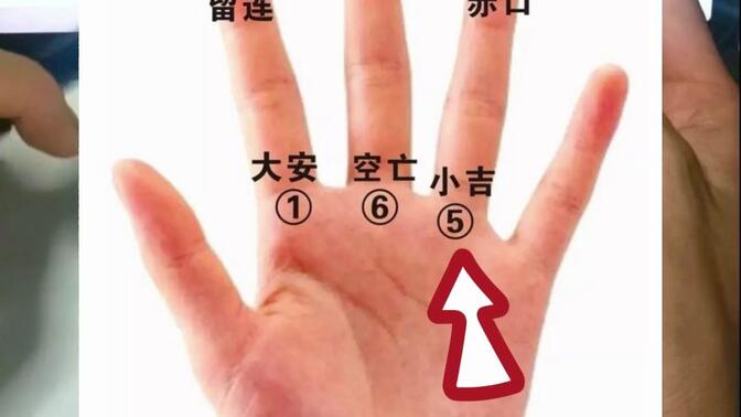 占卜正确用法示例视频(占卜正确用法示例视频教程)