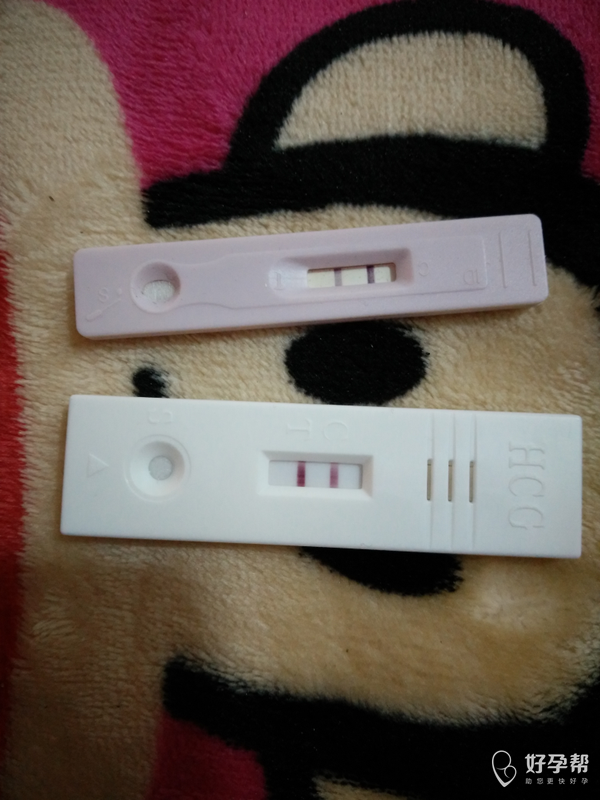 妈妈好孕测名网(好孕妈妈名字测试)
