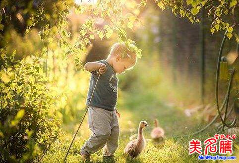 美腾起名网免费取名(美腾起名网免费打分测试)