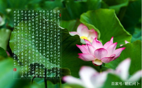 易经文字问卜卦详解(易经文字问卜卦详解视频)