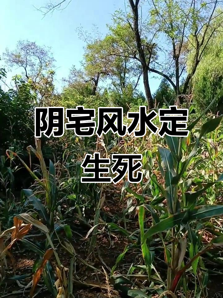 阴宅风水学(阴宅风水学入门基础知识)