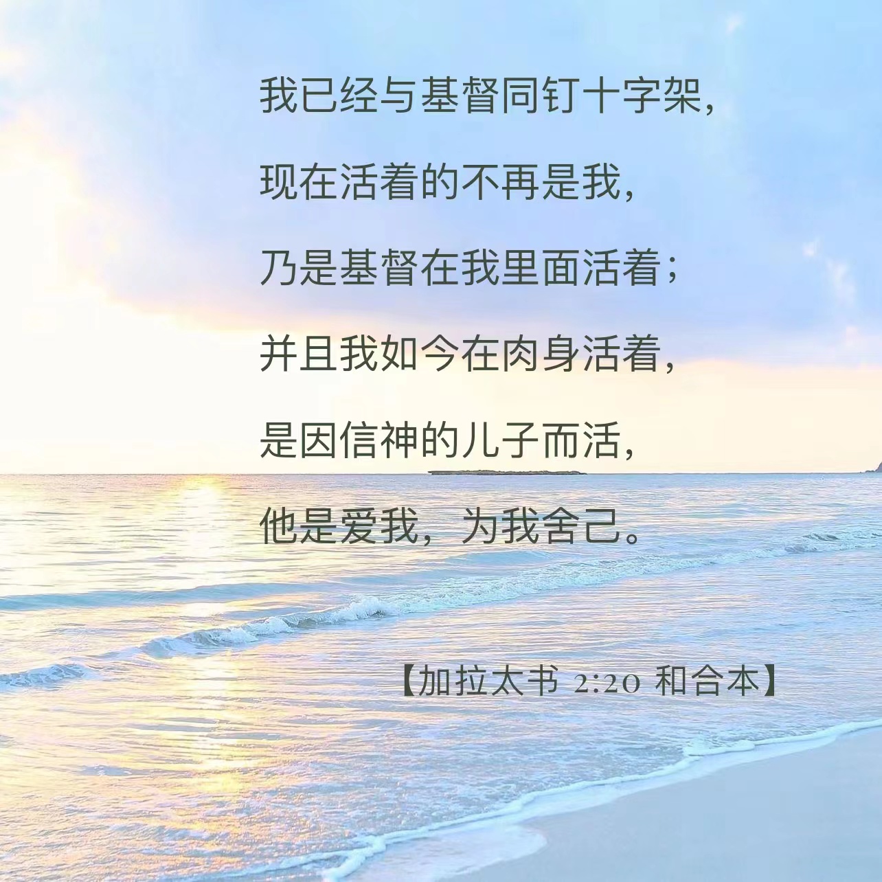 圣经测试(圣经测试题及答案)