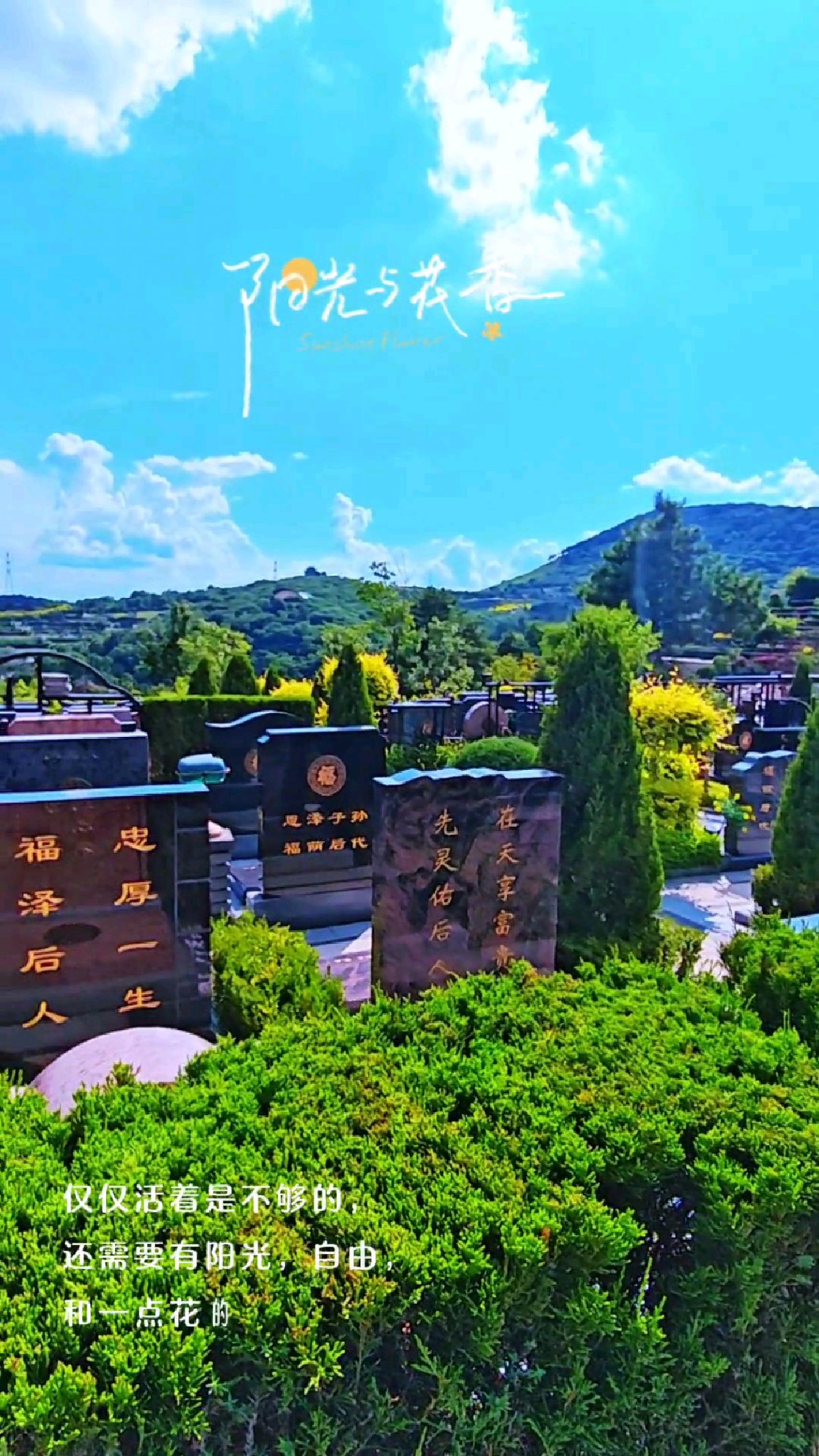 陵园的墓地是永久的吗(陵园的墓地是永久的吗为什么)