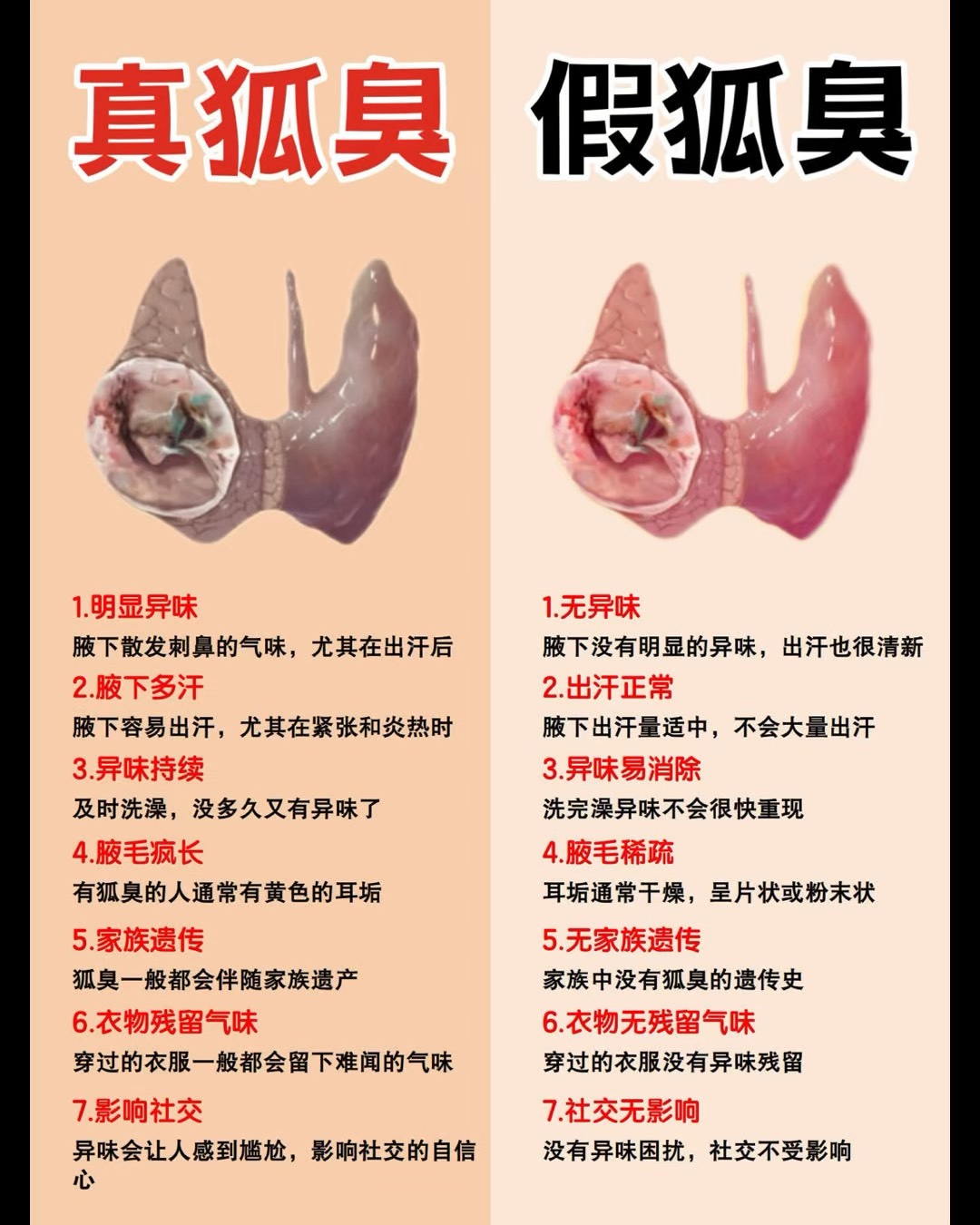 狐臭在中医上属于什么(中医治狐臭最有效的方法) 狐臭在中医上属于什么(中医治狐臭最有效的方法)