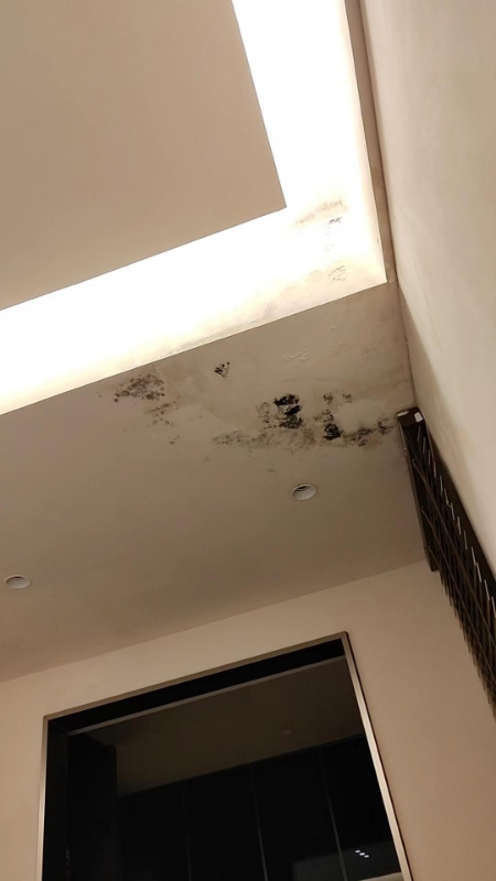 17楼一般人不敢住的原因是什么(17楼一般人不敢住的原因是什么呢)
