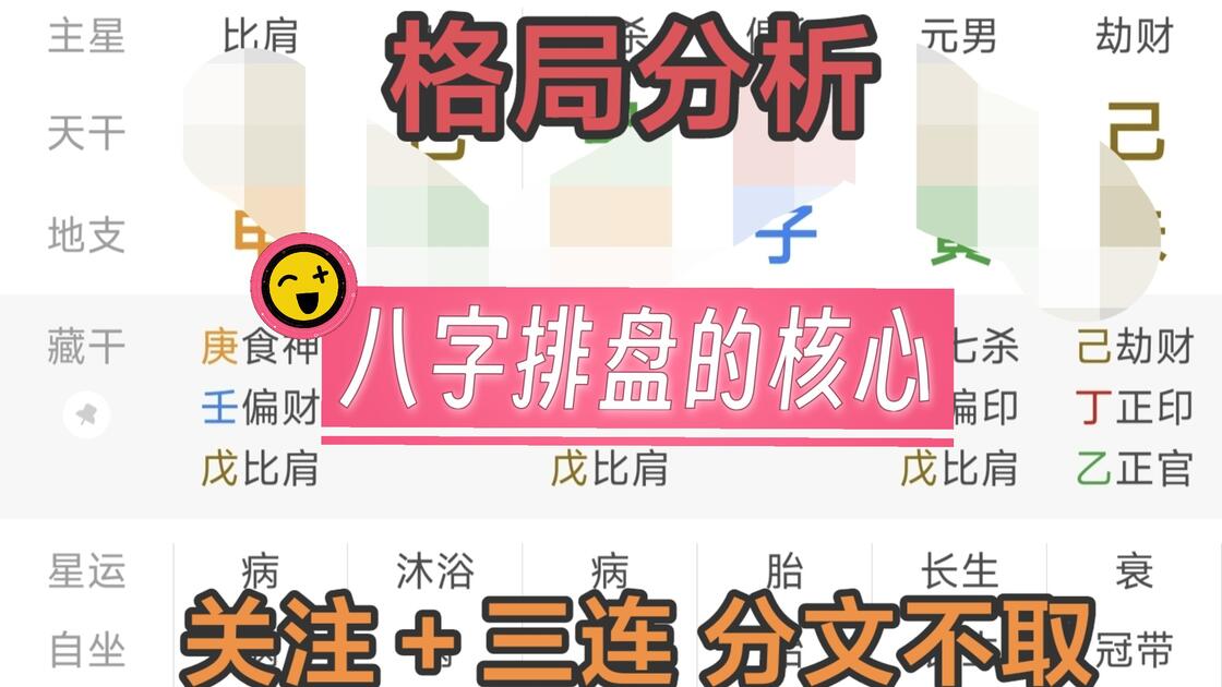 八字排盘助手APP(八字排盘宝电脑免费版下载)