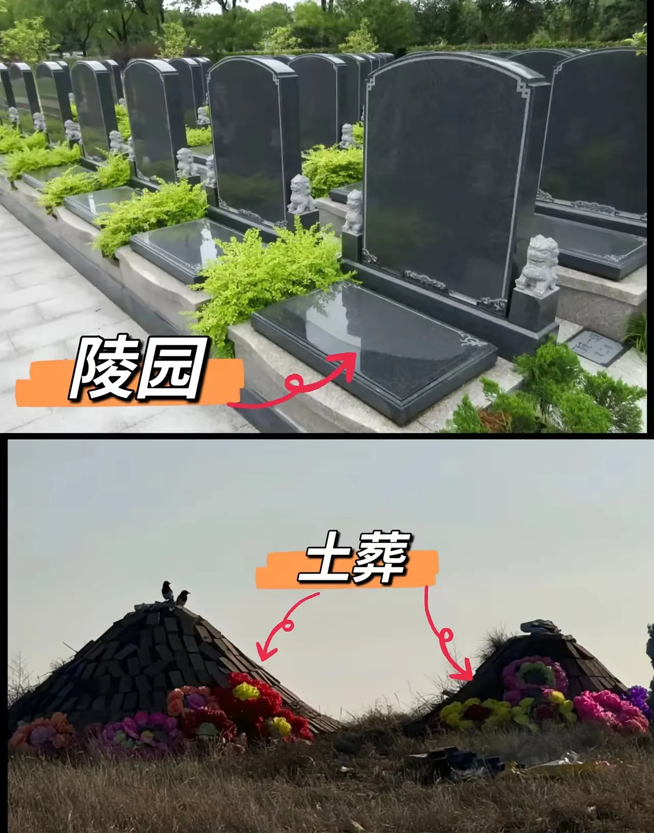 葬坟是什么意思(葬坟有动物代表什么)