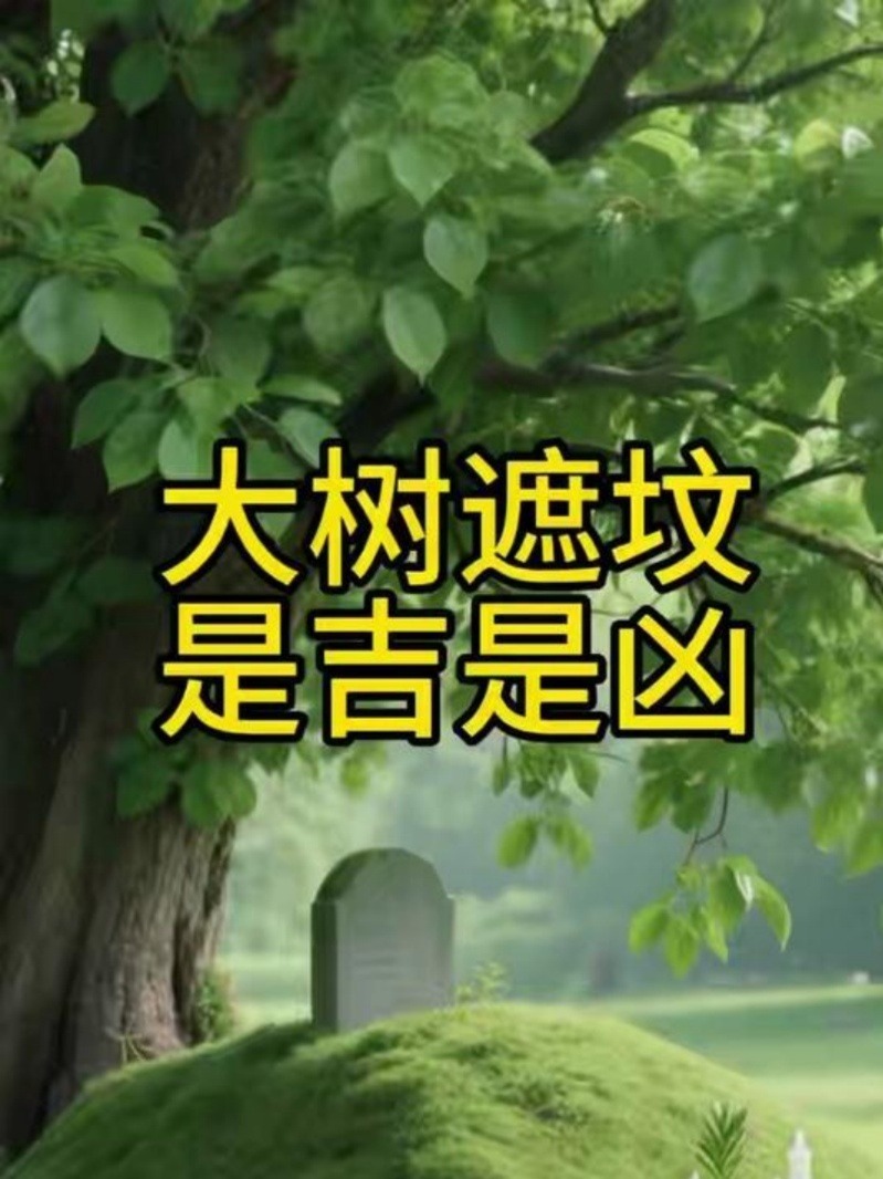 下葬后怎么知道好坏先凶后吉的简单介绍
