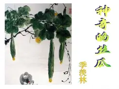 梦见我摘丝瓜佛涛算命(梦见自己摘丝瓜丝瓜老了) 梦见我摘丝瓜佛涛算命(梦见自己摘丝瓜丝瓜老了)