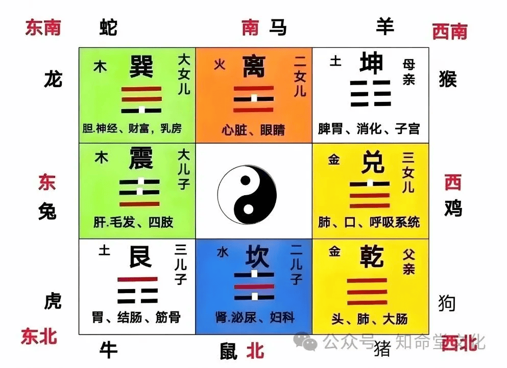风水旺次子的方向(长子次子的房间风水)